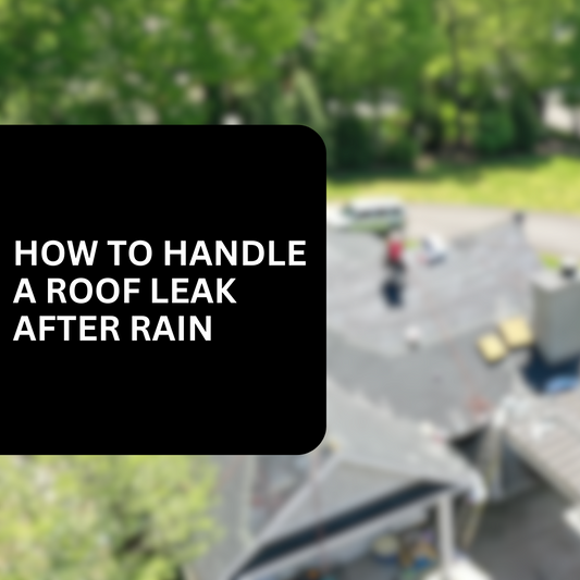 How to Handle Roof Leak After Rain: What Homeowners Need to Know