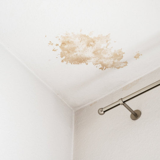 Brown water stain spreading across a white ceiling corner from a slow roof leak