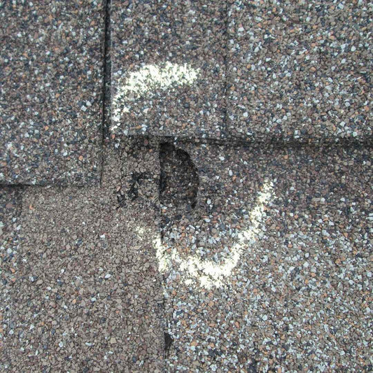 Close-up of hail damage on asphalt shingles, with the impact marks circled in chalk