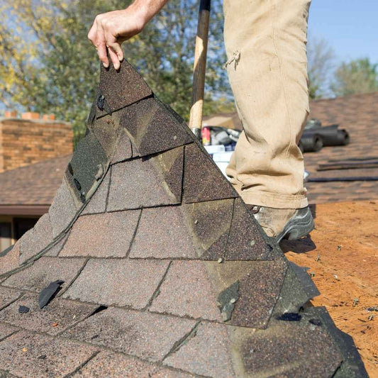Roofer peeling back a section of old asphalt shingles during a roof tear-off